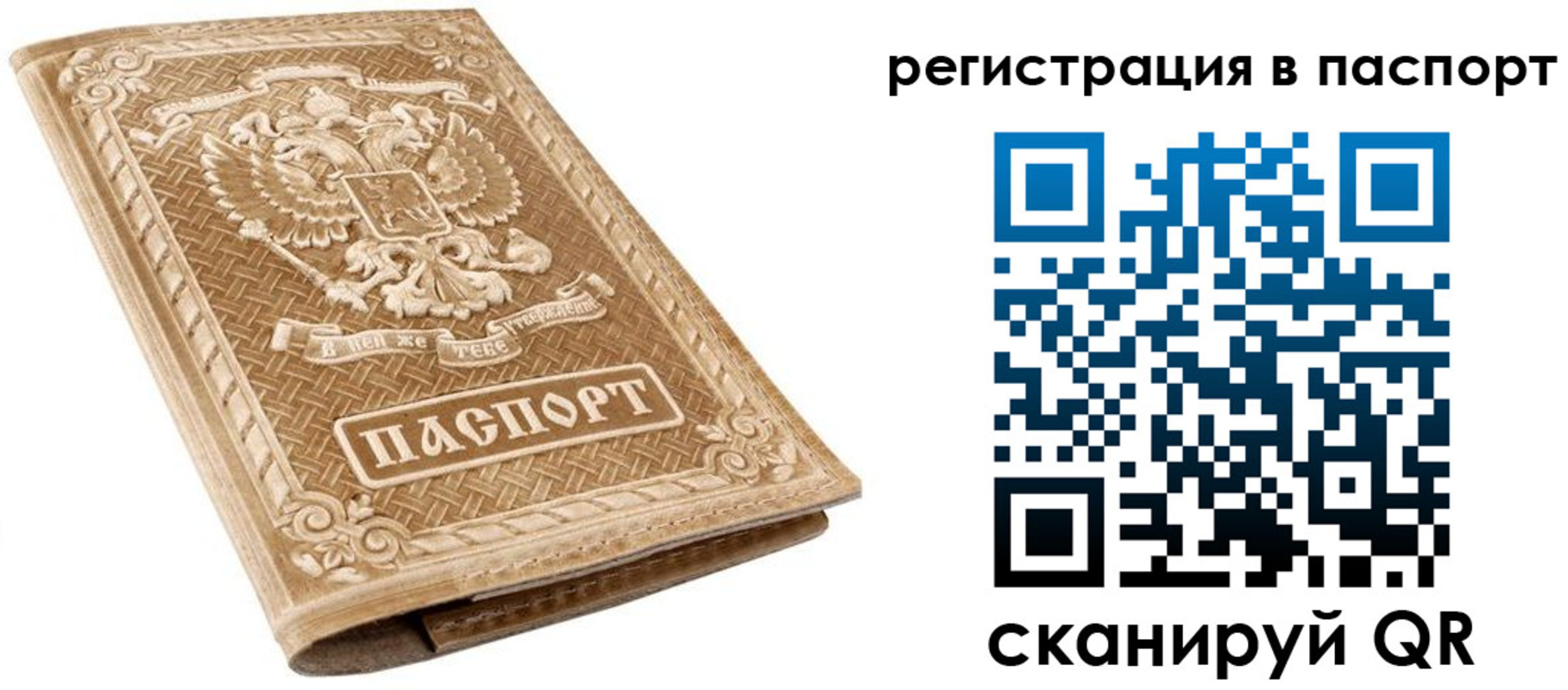 прописка в Кувшиново